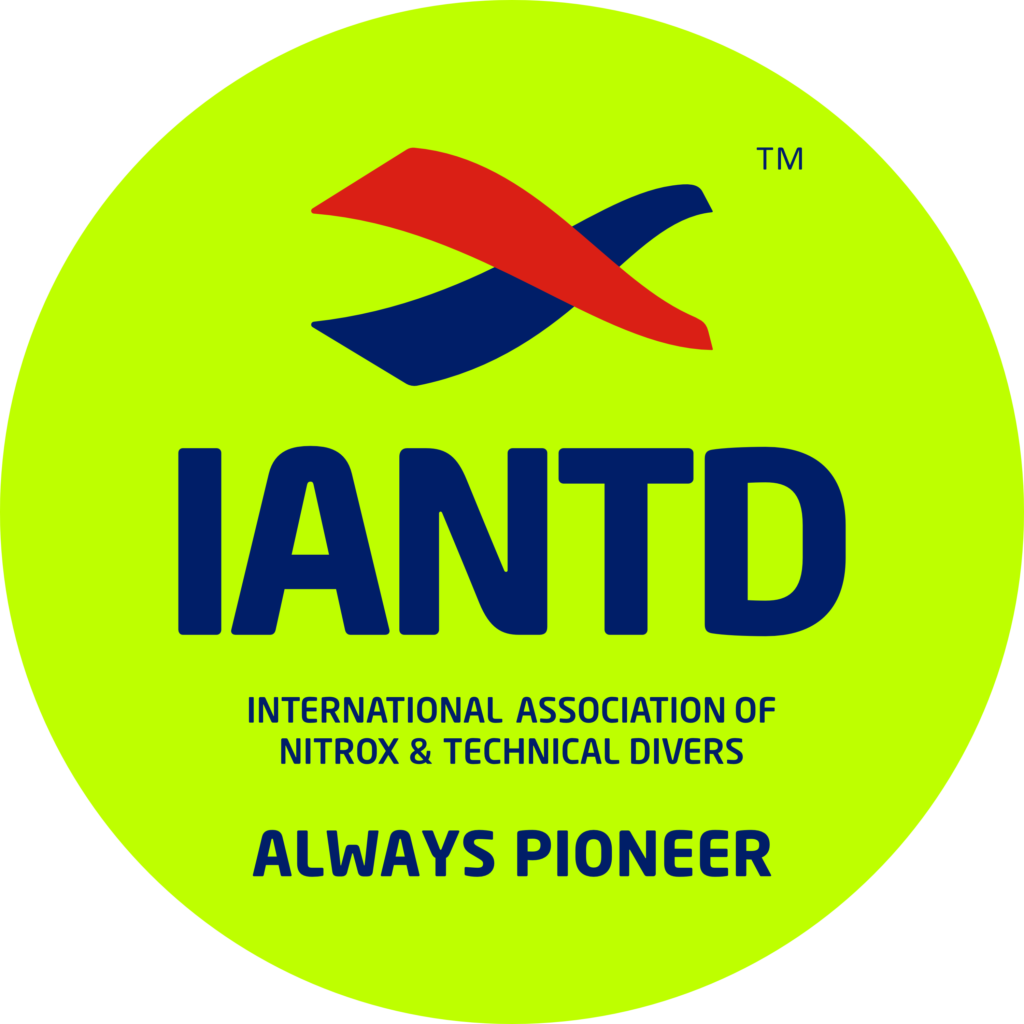 2025 iantd logo always pioneer tm pg ro bg
